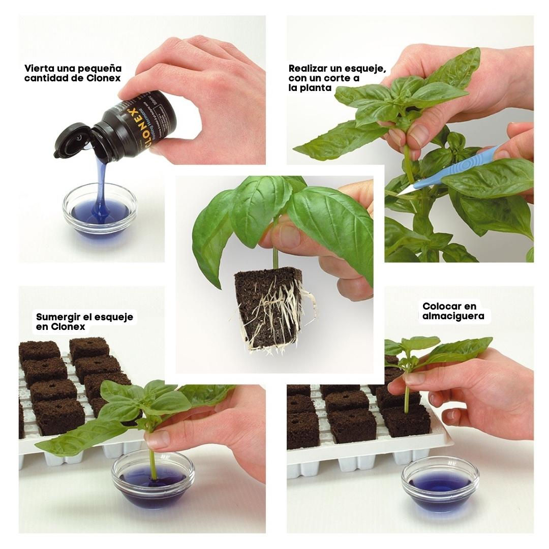 CLONEX Rooting Gel sobre 15ml - Image 3