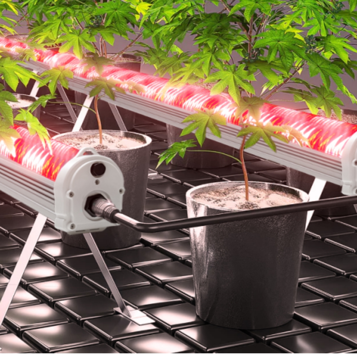 LED Under Canopy Cooltech 135w Patas metálicas Altura ajustable - Image 11